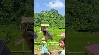 Village lifestyle #assamdiaries #love #new #zudeendaassamesenewsong2023 #assamadventures #assam