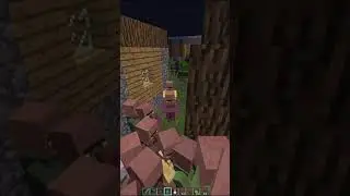 #Minecraft #Shorts #Memes #Майнкравт