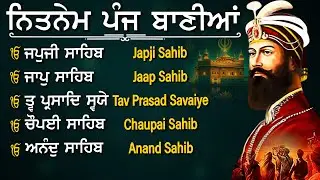 Nitnem Panj Bania  ਨਿਤਨੇਮ ਪੰਜ ਬਾਣੀਆ | Nitnem Sahib Full Path | japji sahib | Vol-1059 #nitnem