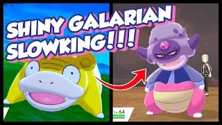 My First Marked Shiny!!! Shiny Galarian Slowpoke #3 + Shiny Galarian Slowking Evolution!!!