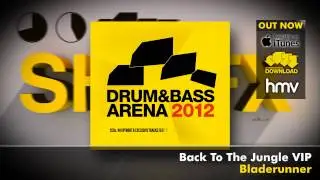 Drum&BassArena 2012 (Album Megamix)