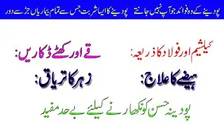 Podina Se Maida Ka Ilaj | Podina k faidey (Urdu)(Hindi) | Pakistan Health Channel