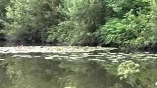SHILLINGLEE, WAS LAKESIDE, CHIDDINGFOLD, SURREY