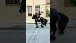 🥰🥰 Horse cute dance🥰🥰#horse #shorts #viral #tiktok #animal