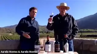 Montes Wines Webinar | Montes Wines