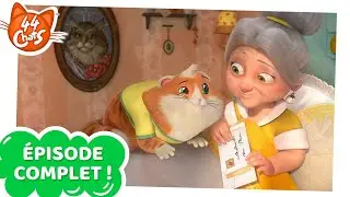 44 Chats | ÉPISODE COMPLET | Boulette, le chat facteur