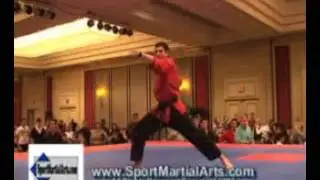 Anis Cheurfa - 2006 World Series of Martial Arts
