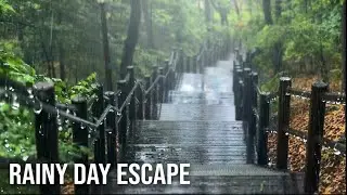 Rainy Vibe Heal Your Mind, Hug Your Soul! #rainsounds