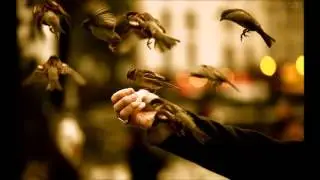 Louvor (Livre) para honra do nosso Rei e Pai YHWH (Yaohuh) estamos livres em Yaohushua \o/