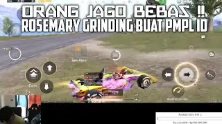 Rosemary grinding buat PMPL id! Orang jago mode aim sakit