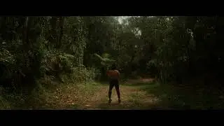 Aquí empieza todo.