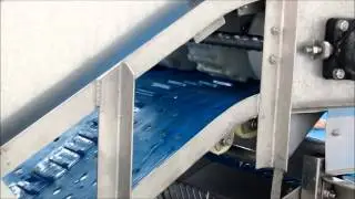 Fish Scap conveyor