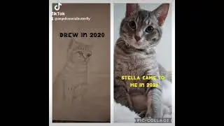 I Drew My Future Kitty