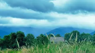 Escape to the Mountains 🌲 | Peaceful Nature Moments #cambodia #nature #travel