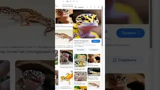 Разукрашиваю геккона для последующей печати. Ох, какой он кл&euml;вый! #3dпечать #orcaslicer #bambulab