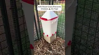 My Favorite No-Maintenance Chicken Waterer!