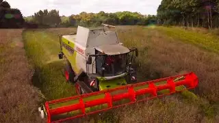 moisson de colza 2021/ lexion 7500 terra-trac/ ETA graignic les Fr&egrave;res