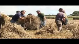 Pembrokeshire Vintage Farming Day Wheat Harvesting with BBC Wales' Abigail Neal