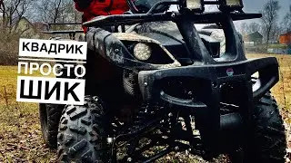 Лучший квадрик в своем бюджете: обзор на Avenger Tungus 250     #покатушки #квадроциклы #квадроцикл