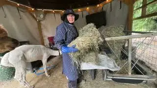 Refilling My Alpaca&rsquo;s HayFeeder