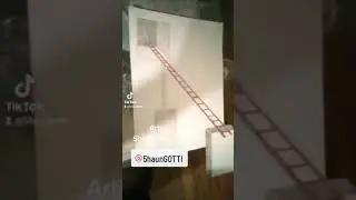 @5haunGOTTI