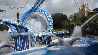 Шоу КАСАТКИ ДЕЛЬФИНЫ морские львы Парк SEA WORLD ORLANDO 11.16 дельфинарий в США