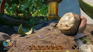 1Game1Life Grounded: Part 9 - Into the Hedge, Into the Night