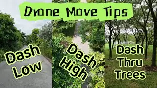 Drone Move 10 Dashing Forward, Low, High and thru Trees
