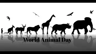 OCT 4 | WORLD ANIMAL DAY | WORLD'S FIRST SOLAR POWERED PHONE FACTS 365 | CLASSROOM STUDIES