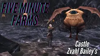 FFXI - Five Minute Gil Farm - Castle Zvahl Bailey's - Morbid Eye's