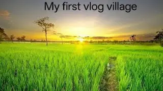 My first blog viral 2026