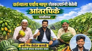 कमी खर्च – जास्त नफा! पपई + टरबूज आंतरपीकाची संपूर्ण माहिती | Vedant Karale#शेती #टरबूज #आंतरपिके 