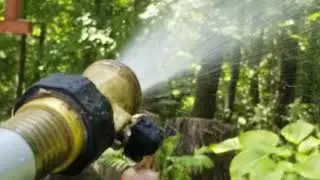 Watering Hummingbirds