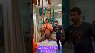Aerial Yoga Workshop | Aerial Yoga Class in south Delhi | Aerial Yoga for beginners