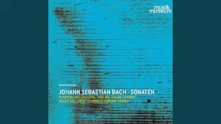 Violin Sonata No. 3 in C Major, BWV 1005: I. Adagio