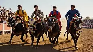 Bulls racing AI video