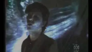 Chad's Tree: Crush The Lily 1985