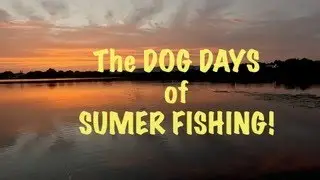 The Dog Days of  Summer Bass Fishing