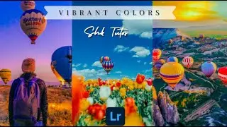 Vibrant Colors Preset | Adobe Lightroom Mobile | Free DNG (Zip File)