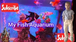 Colorful Fish Aquarium 🐠🌈 | Nature&rsquo;s Stress Relief in 4K