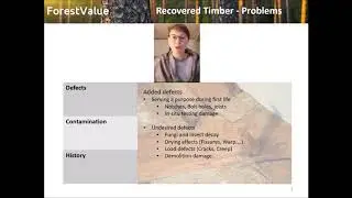 Grading recovered timber part 1 of 2