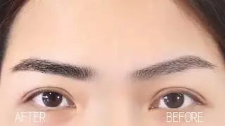 Salon Lashes & Brows at Home 😍 ICONSIGN KitJanuary