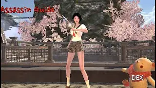 Elyon - Assassin Guide / 어쌔신 가이드