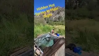 The Hidden Hot Spring Near Reno #love #live #nature #beautiful #trending