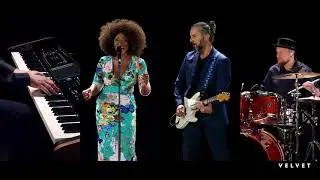 HIP Neo Soul Live Band For Weddings and Events | Video | Velvet Productions