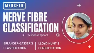 Classification of nerve fibres- Erlanger Gasser's and Lloyd Hunt's classification! Medseed MBBS