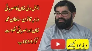 Aimal Wali Khan | PTI MPA Sultan Muhammad Khan | PTI Government