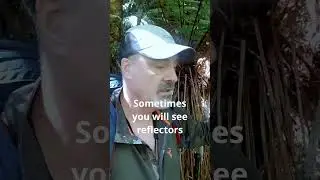 How NOT to Get Lost Hiking in New Zealand's Bush