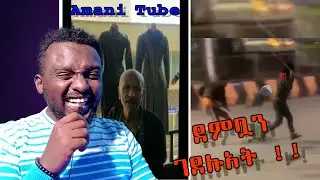ደምቧን ገደሉአት !! New Ethiopian Tik Tok 2023/Abrilo HD /Ale Tube/Ebs/Seifu FAntahun /9Shi/funny/Music