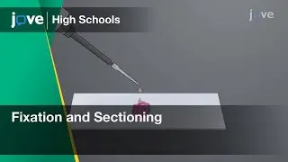 Fixation and Sectioning | Cell Bio | Video Textbooks - Preview